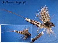 Mohican MayFly V.